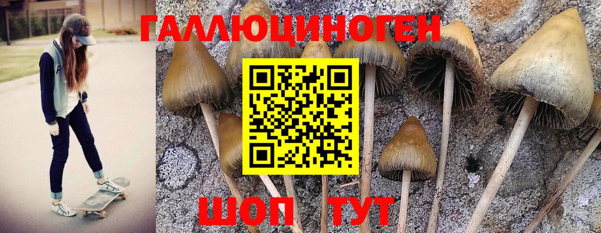 Галлюциногенные грибы Magic Shrooms  Псилоцибиновые грибы MAGIC MUSHROOMS  Кирово-Чепецк  как найти наркотики  Вход с VPN 