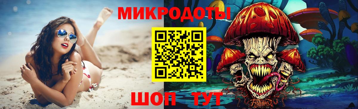 Псилоцибиновые грибы Psilocybine cubensis Кирово-Чепецк